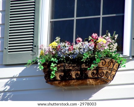 Flower Box on a Sunny Window Sill