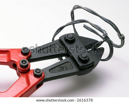 Wire cutter with barbed wire