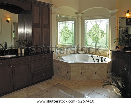 Bathroom Windows on Luxury House Marble Bathroom In Window Light Stock Photo 5267410