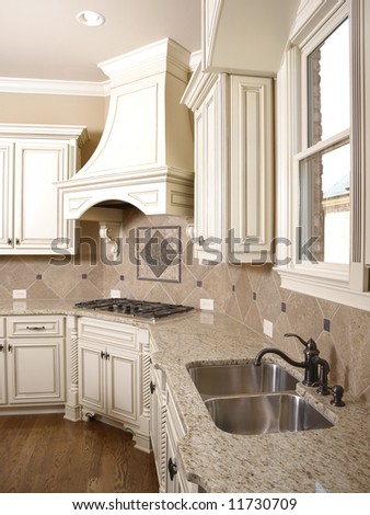 Luxury Kitchen Cooktop with Hood and sink