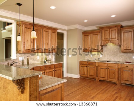 Luxury Model Home with Honey colored Kitchen