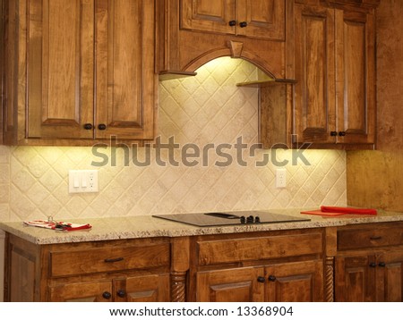 Luxury Model Home with Honey colored Kitchen