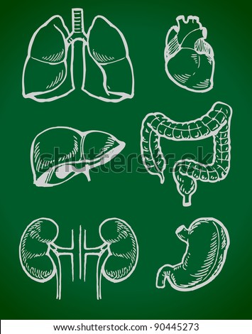 Lung Liver