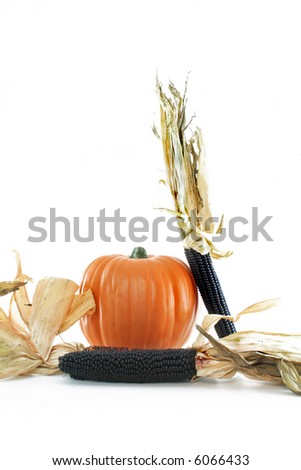 pumpkin and maize isolated