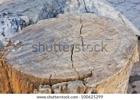 Wooden background with age circles