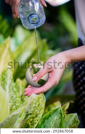 Young woman`s hands holding earth and sprinkle water on earth. Ecology concept. Elements of this image furnished by NASA