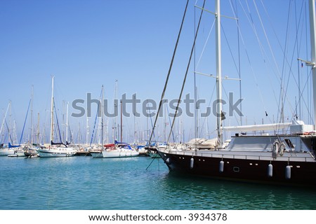 group of white yachts moored at sunny bay