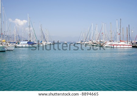 group of white yachts moored at sunny bay