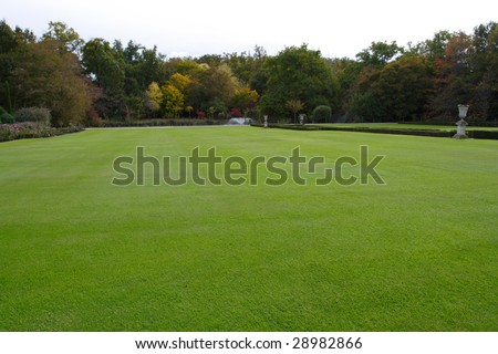 big grass-plot with neatly cutted grass edged by the trees