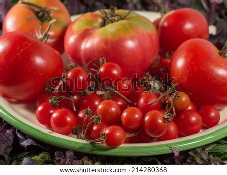 Plate with big tomatoes and tiny cherry tomatoes