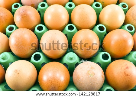 natural brown eggs. Food plenty of proteins