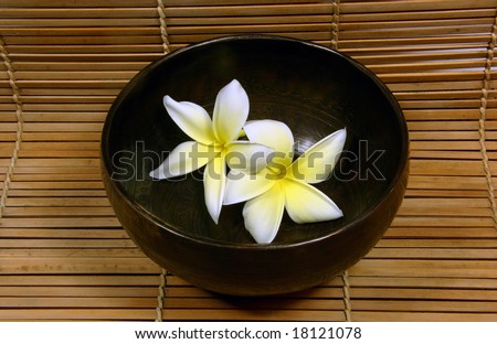 Tibetan bowl with frangipani