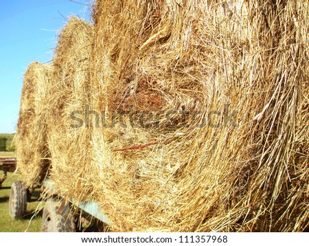 Three rolls of hay on a cart in the field