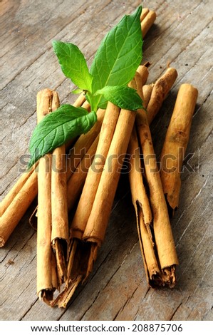 stick of cinnamon with mint leaf