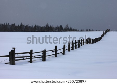Fence in field along the edge of the forest in winter
