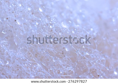 The structure of the mold on the food with water drops. Micro photography