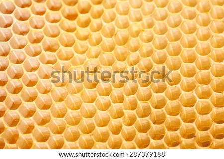 Design from empty honeycomb