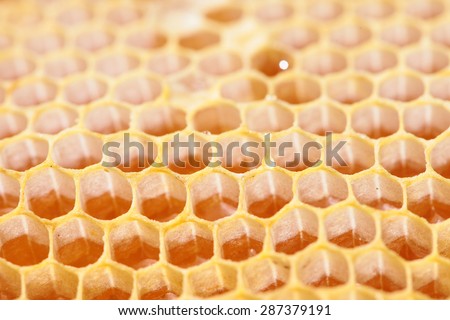 Design of a honeycomb