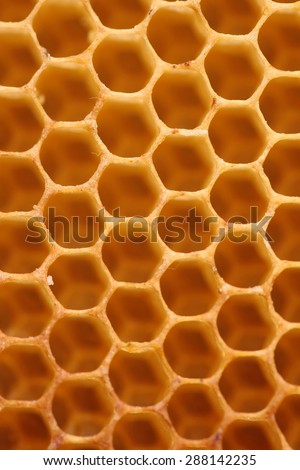 Design of a honeycomb
