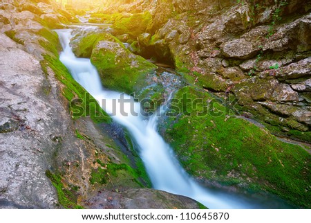 Early morning in the mountains. The picturesque mountain forest stream flowing between the rocks