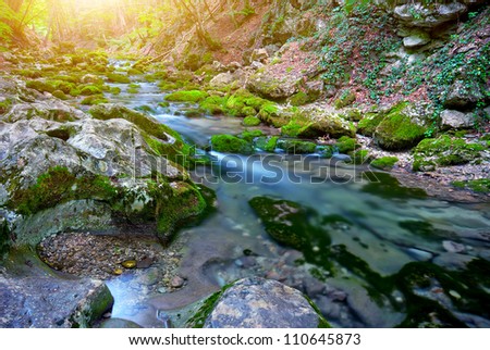 Early morning in the mountains. The picturesque mountain forest stream