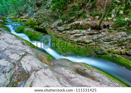 Mountain forest stream flowing between the rocks
