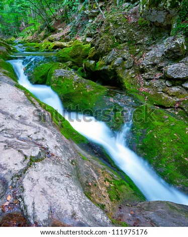 Mountain Stream with moss-grown banks