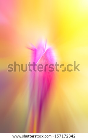 Abstract pink flower on blurred yellow background