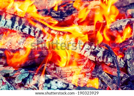 Bonfire in the form of burning coals.Vintage picture