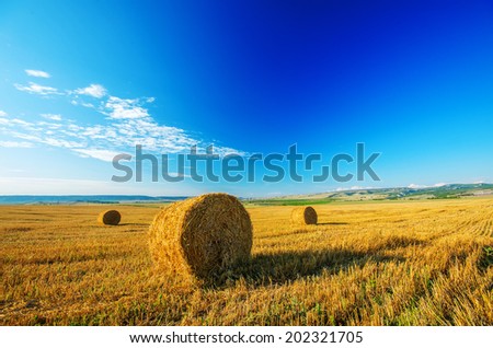 Bales of straw left in the countryside in a sunny day. Natural composition