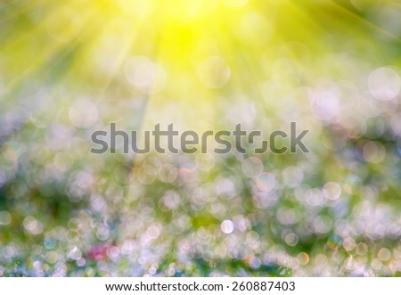 Boke of the highlights on the green fresh grass and the sun's rays. abstract composition