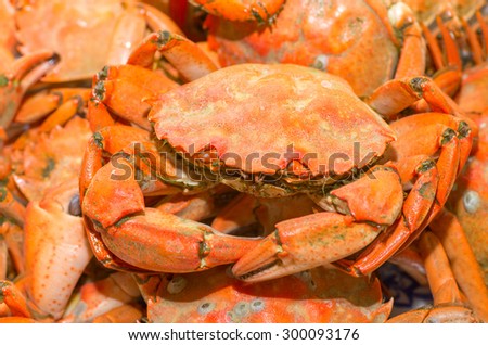 Plate of red boiled crabs Mediterranean. Crabs on a plate entirely. Natural composition
