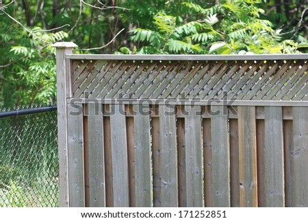 Wooden fence in garden with tree