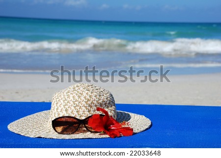 Sun glasses and red tropical flower on hat