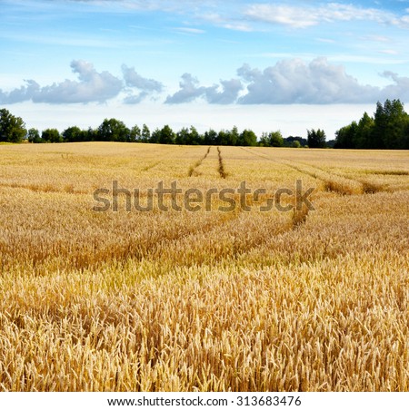 Field crops