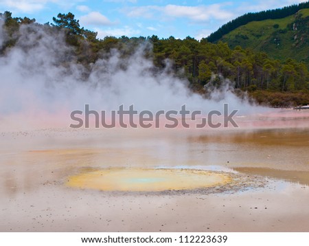 colorful hot water spring in rotorua new zealand