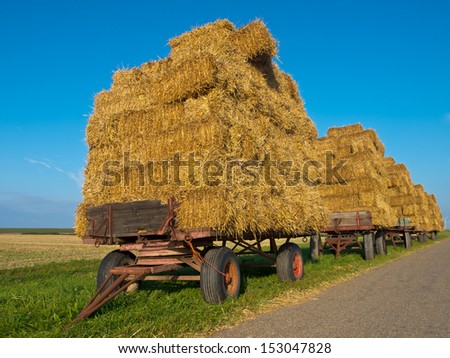 Row of Hay Wagons Along a Road in Sunny Countryside Waiting for Transport