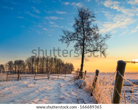Frozen Fence in Winter Landscape with Snowy Fields and Blue Sky in Drenthe Netherlands
