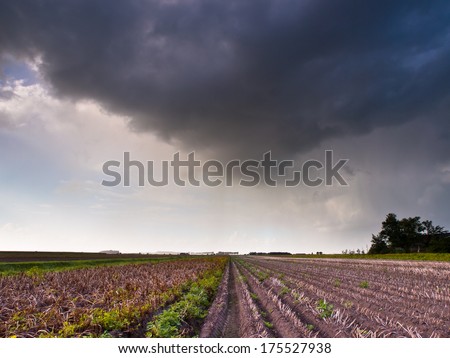 Harvested Field in Stormy Weather with Dark Threatening Sky