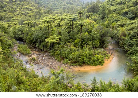 Meander in a Rainforest River, Northland New Zealand