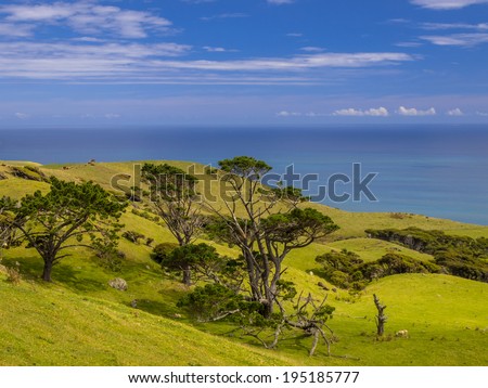 Ocean view over green hills with trees near Raglan, New Zealand