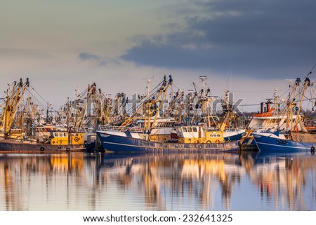 Lauwersoog harbours one of the biggest fishing fleets of the Netherlands. The fishery concentrates mainly on the catch of mussels, oysters, shrimp and flatfish in the Waddensea