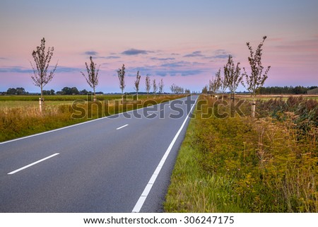 Road with vanishing point in dutch countryside during beautiful sunset