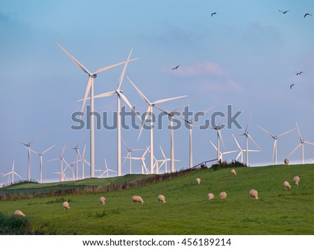 Wind Turbine Farms can make many Casualties during Bird Migration