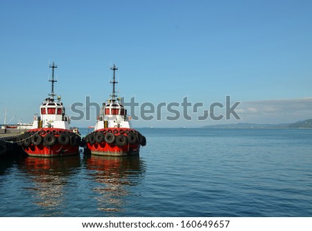 Two red ship on the background of the sea