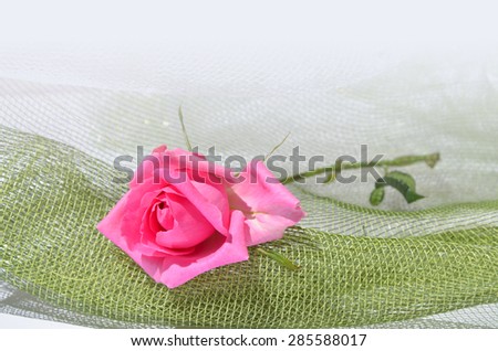 Pink rose on green mesh fabric.