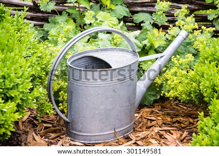 Vintage watering can in the garden