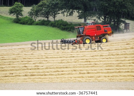 Combine harvester working at a corn field.
