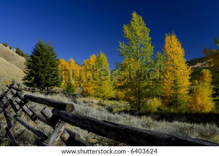 Wooden rail fence and fall color
