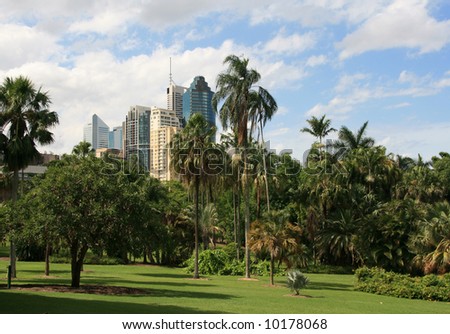 Looking across botanical gardens towards Brisbane city\'s sky scrapers